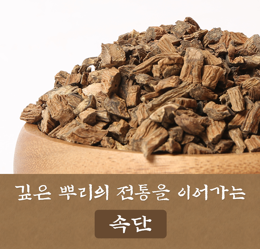 속단 300g