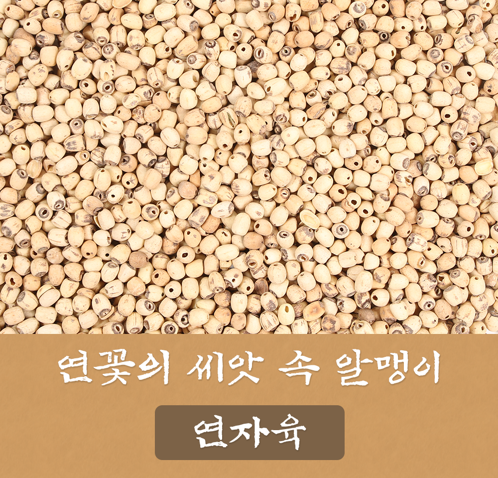 껍질깐 연자육 연꽃씨 연밥 1kg