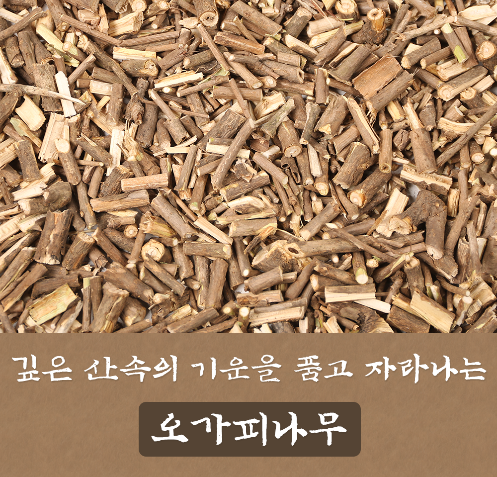 오가피나무 1kg