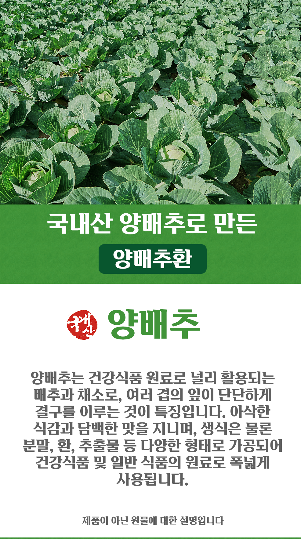 양배추환 500g