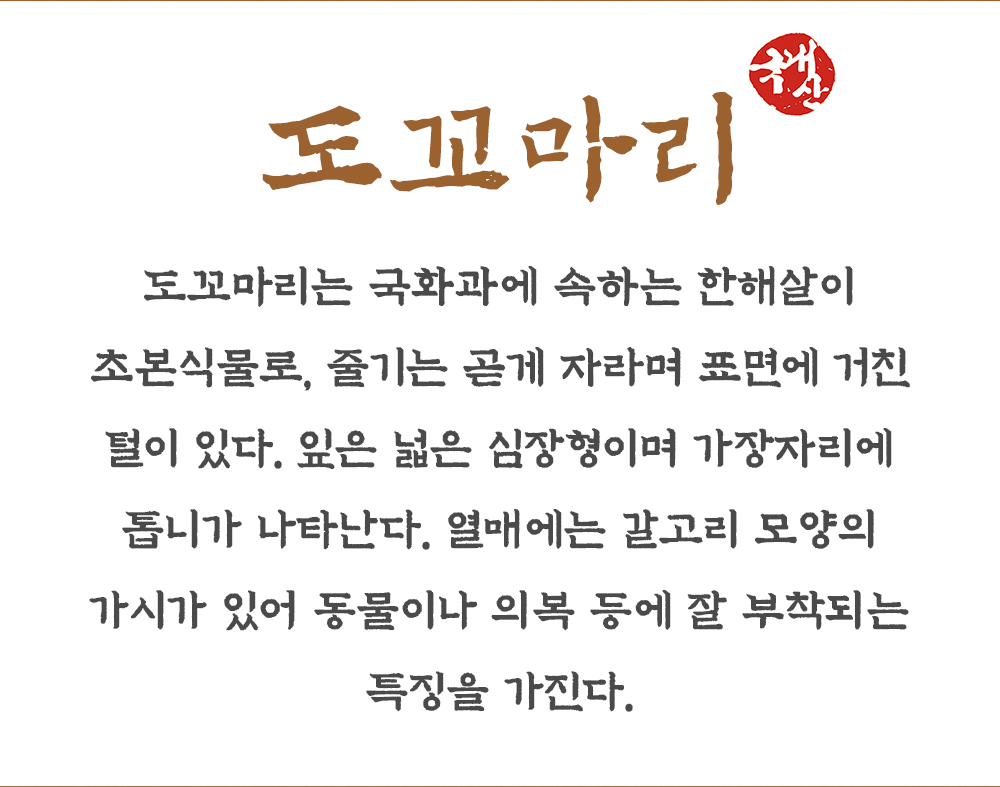 국산 볶은 도꼬마리 500g