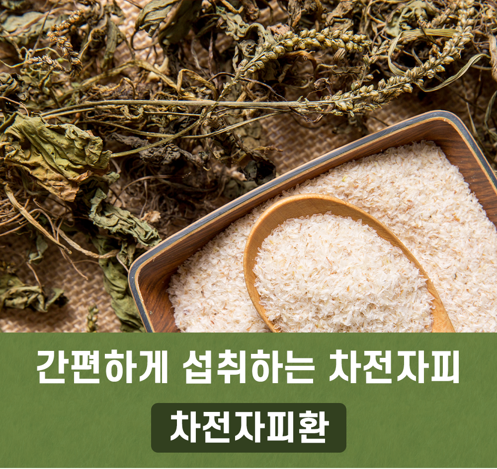 차전자피환 식이섬유 1kg