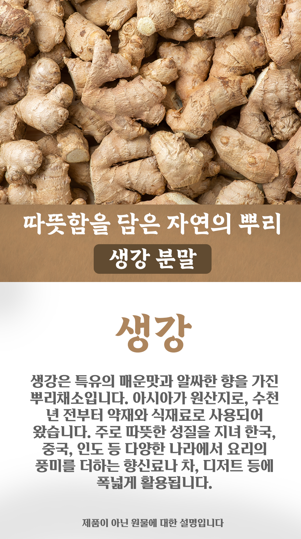 생강분말 500g