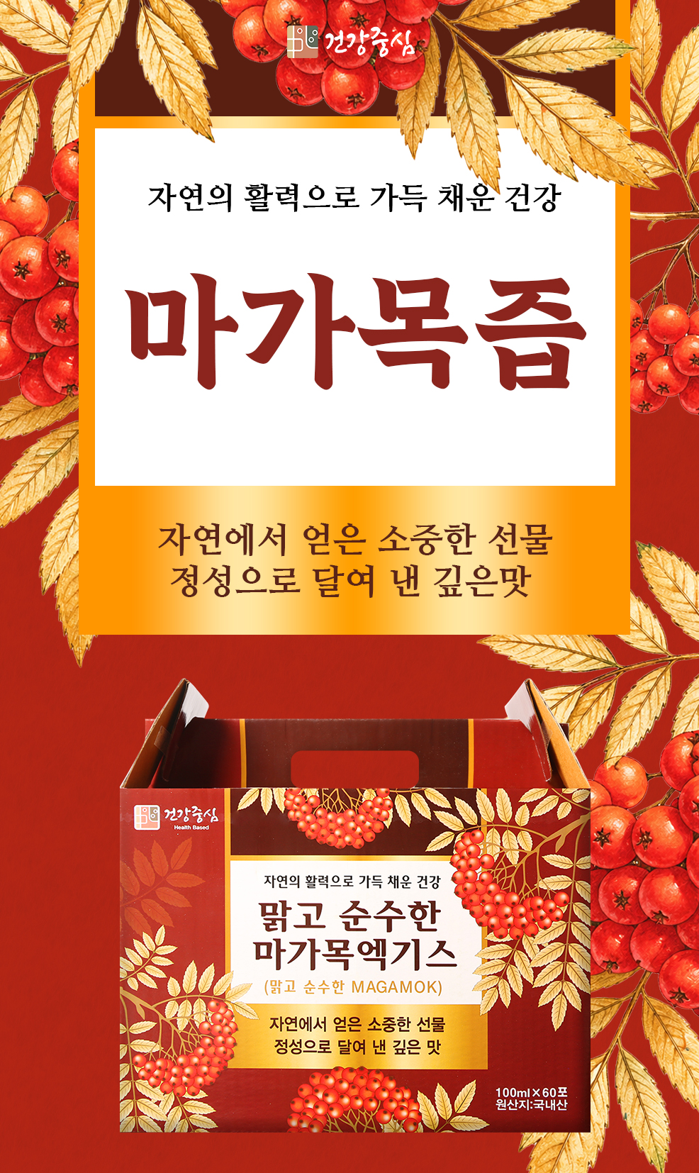 국산 마가목즙 100ml 60포