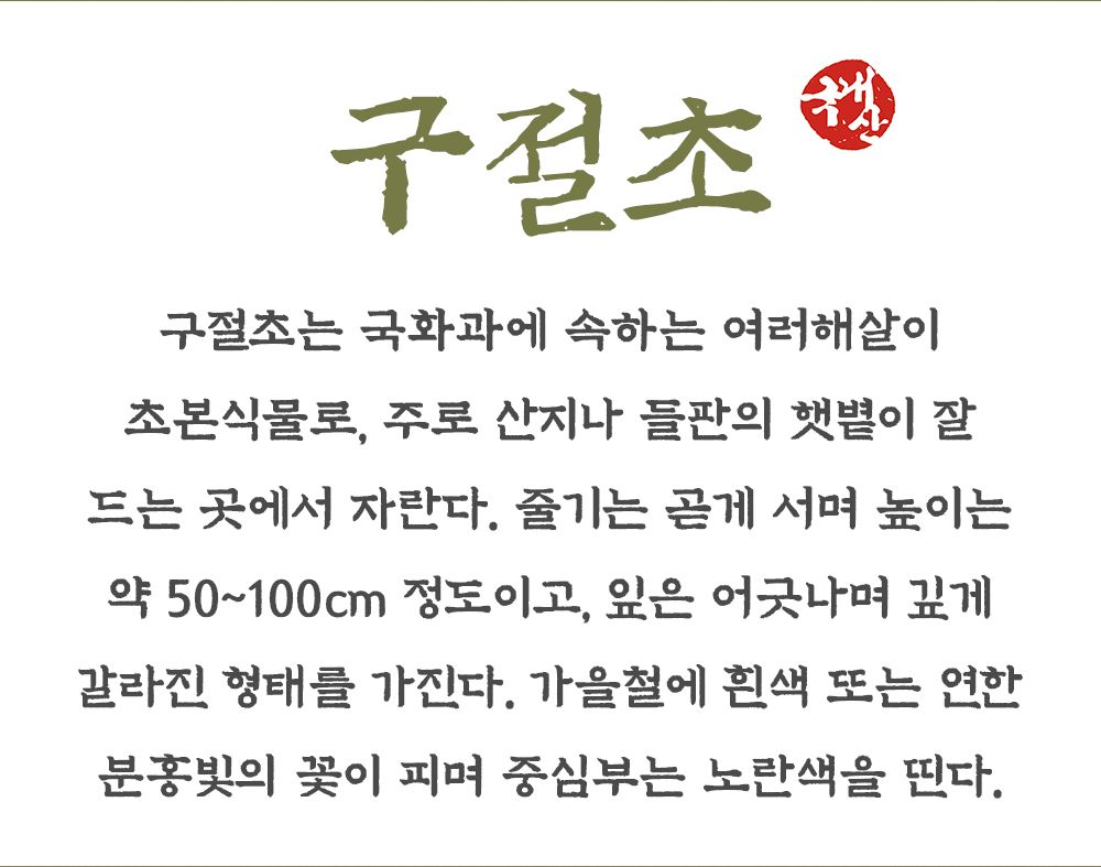 국산 구절초 500g