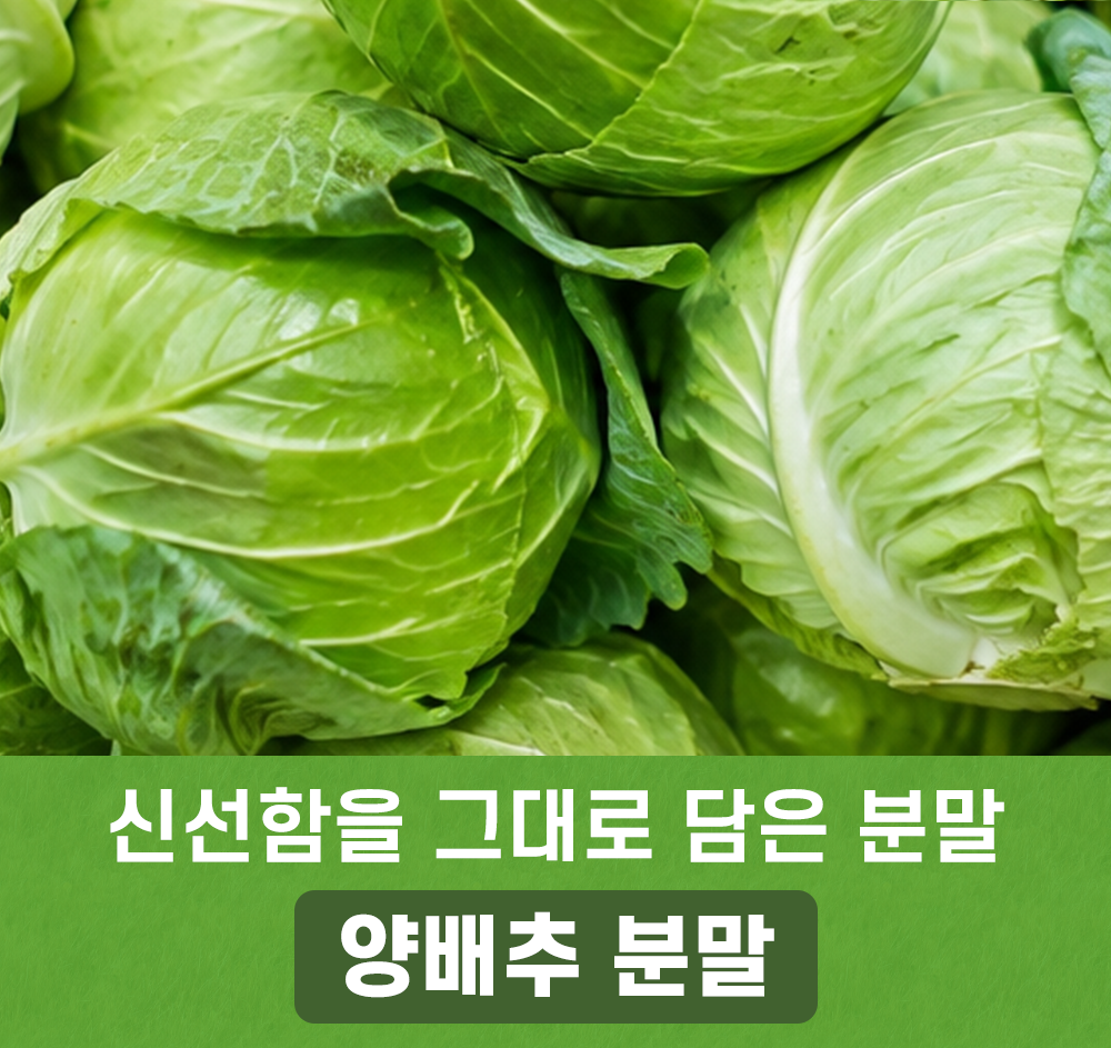 양배추 분말 500g