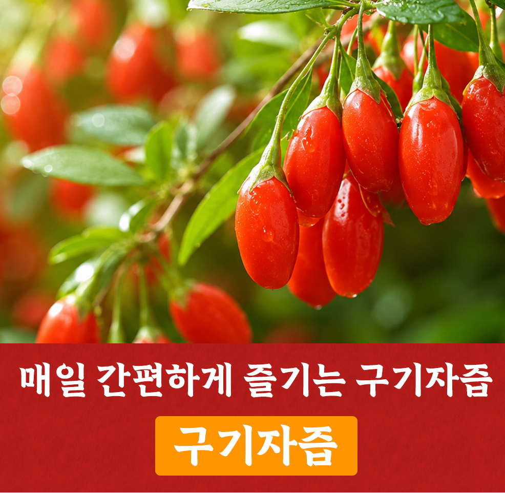 구기자즙 엑기스 진액 100ml 60포