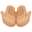 🤲🏼