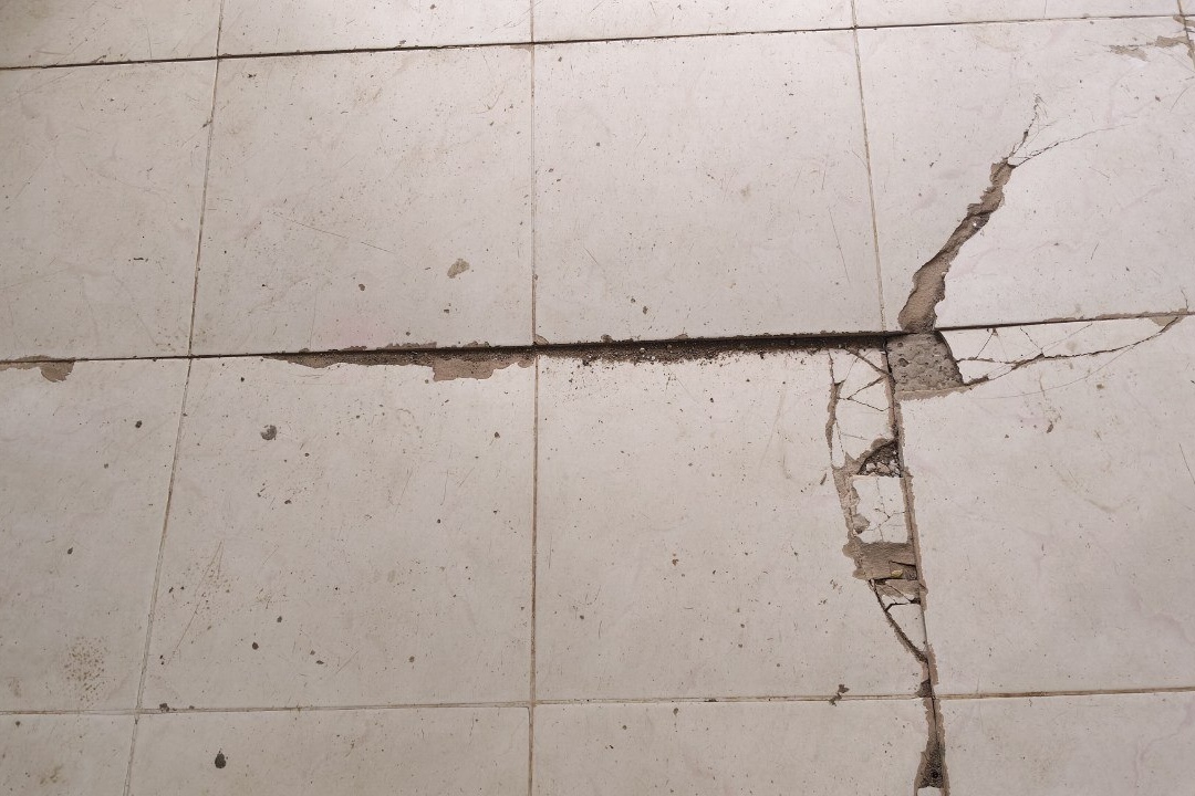 43acb53085a82.jpeg