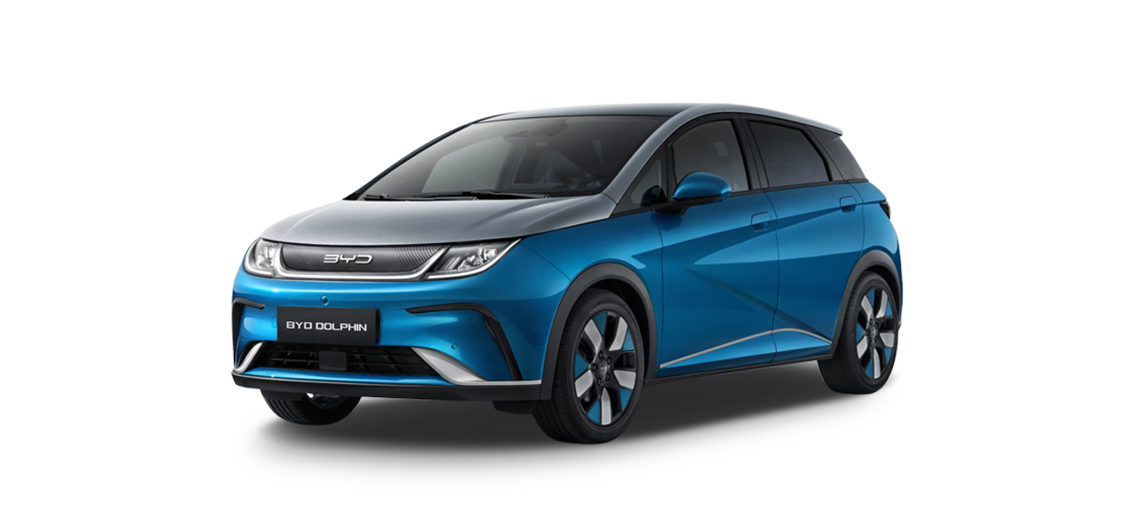 BYD 돌핀 시라이언 실내매트 트렁크매트 미로카매트