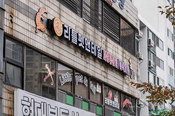 부산 L파충류카페_