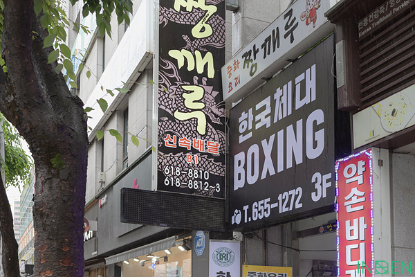 안성 한국체대복싱