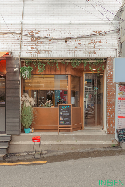 용산 물망초