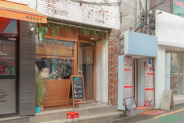 용산 물망초