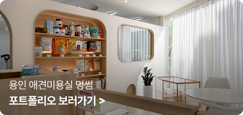 adc8d6208db6f.jpg
