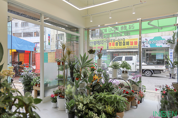 인천 그린화원