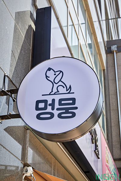 부산 M애견미용실_