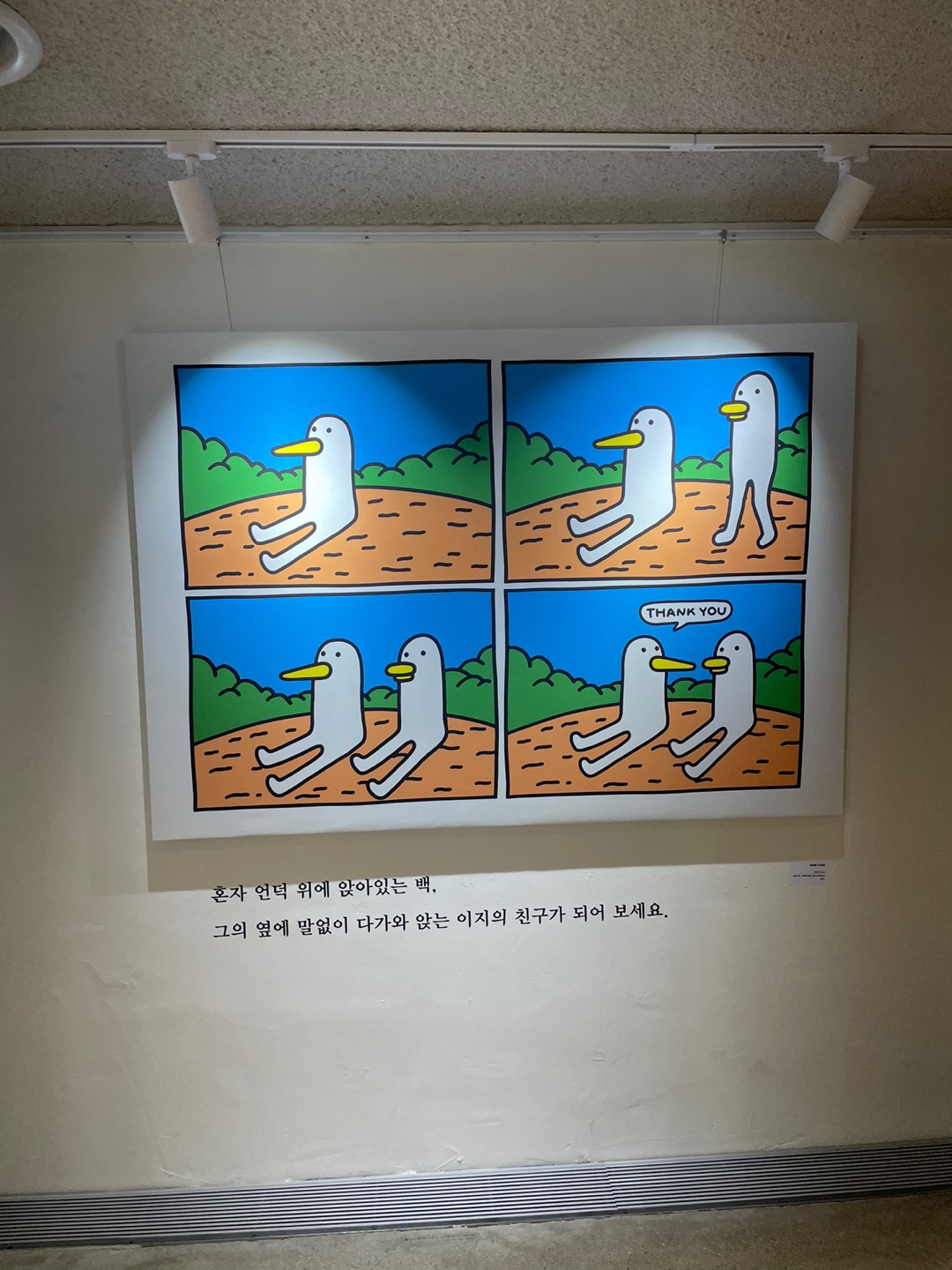 bfc5a14601079.jpg