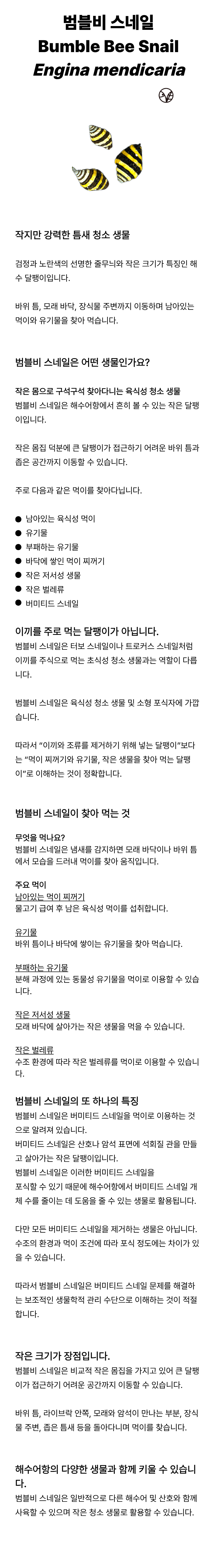 범블비 스네일