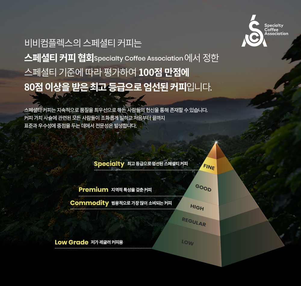 비비컴플렉스 스페셜티협회 프리미엄커피