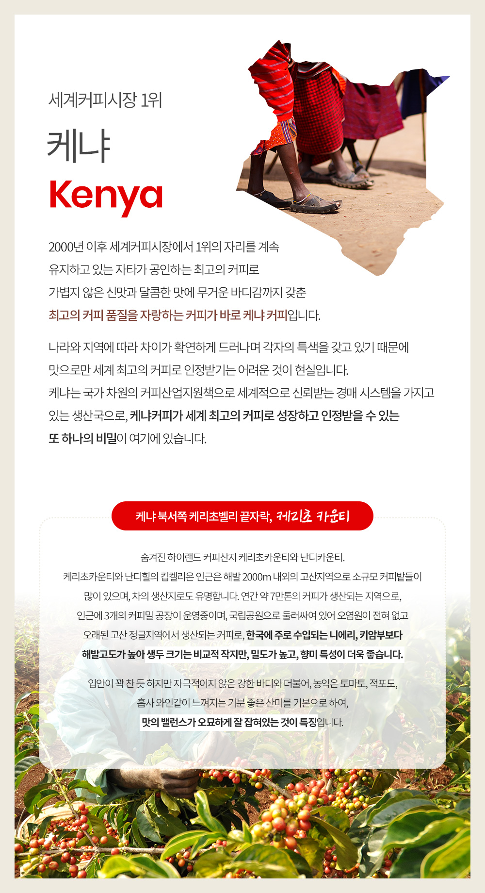 월드커피협회 품질 평가 관리