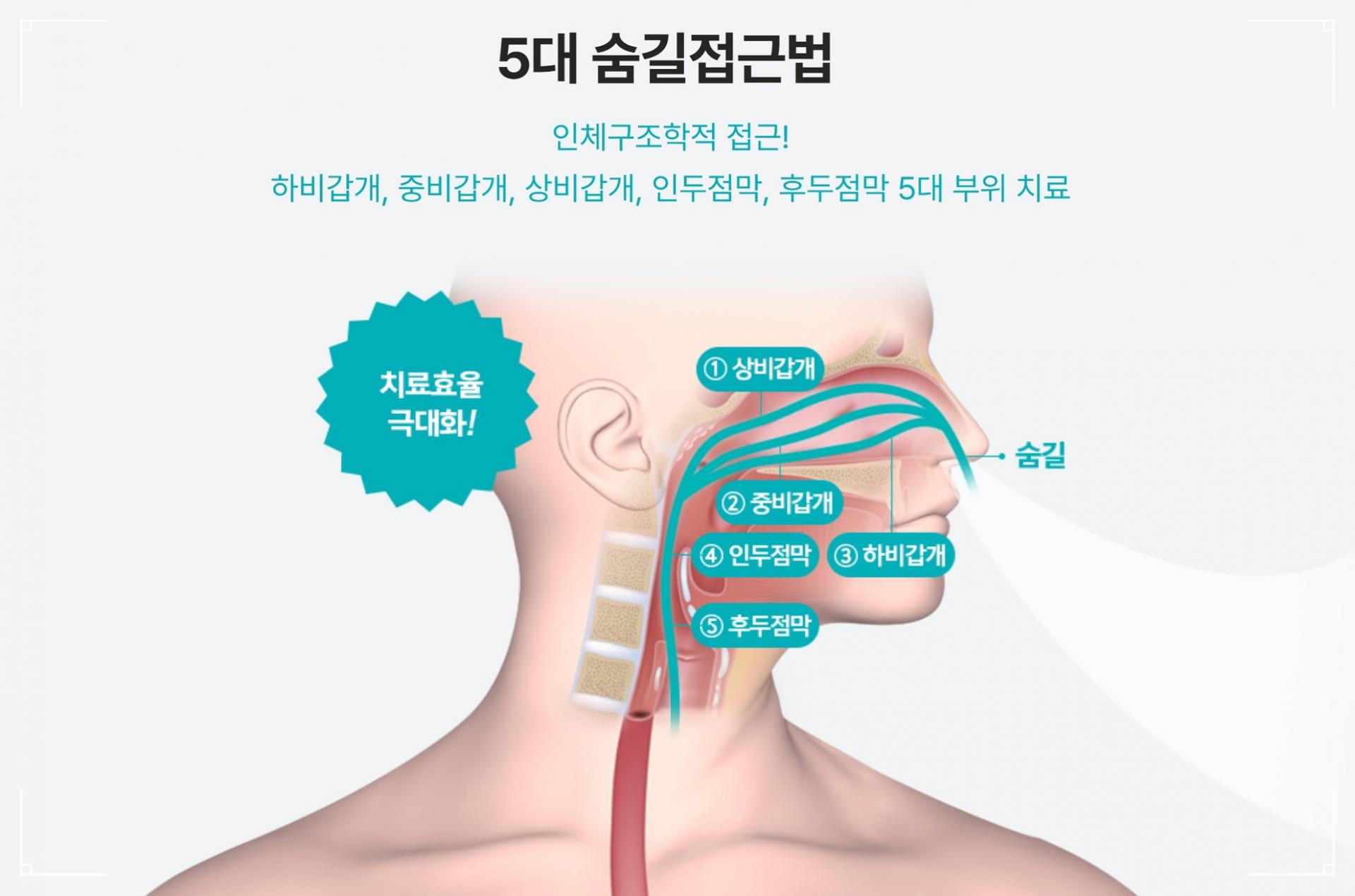 비염한약은 인체구조학적 접근이 필요