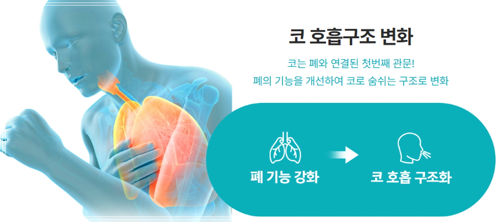 코막힘 원인, 폐 기능의 약화