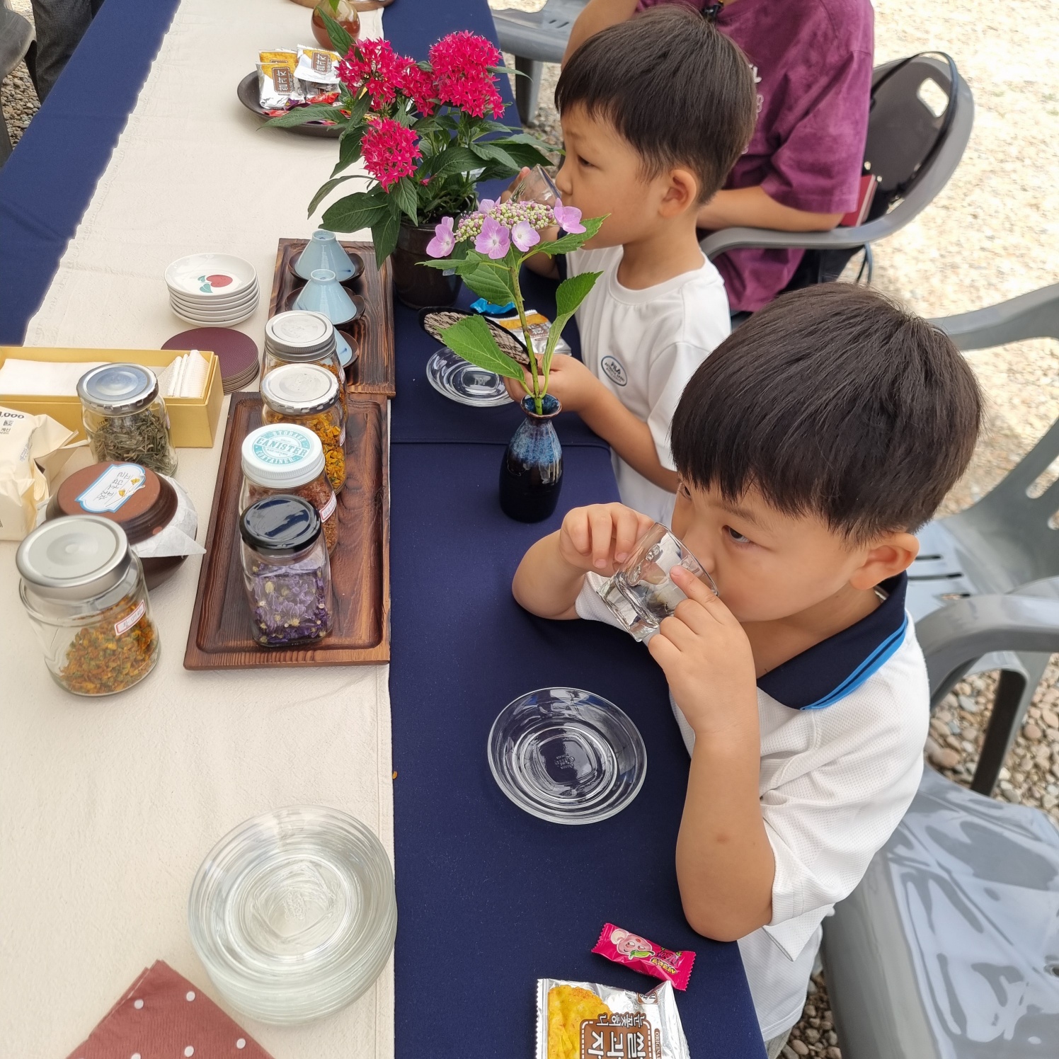 d08e53fce8644.jpg