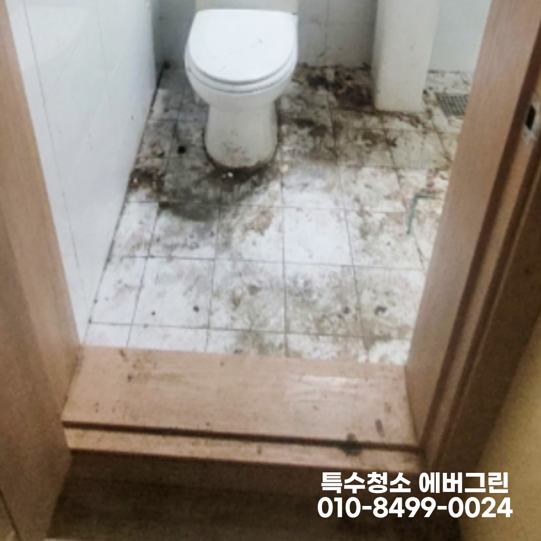 01a82d0283157.png