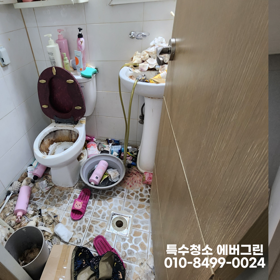1c94cad65e247.png