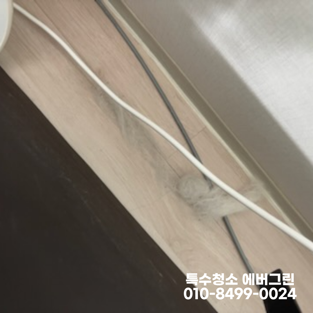 40b16c4901517.png
