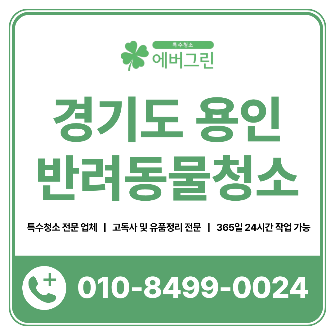 d203a61f6c551.png