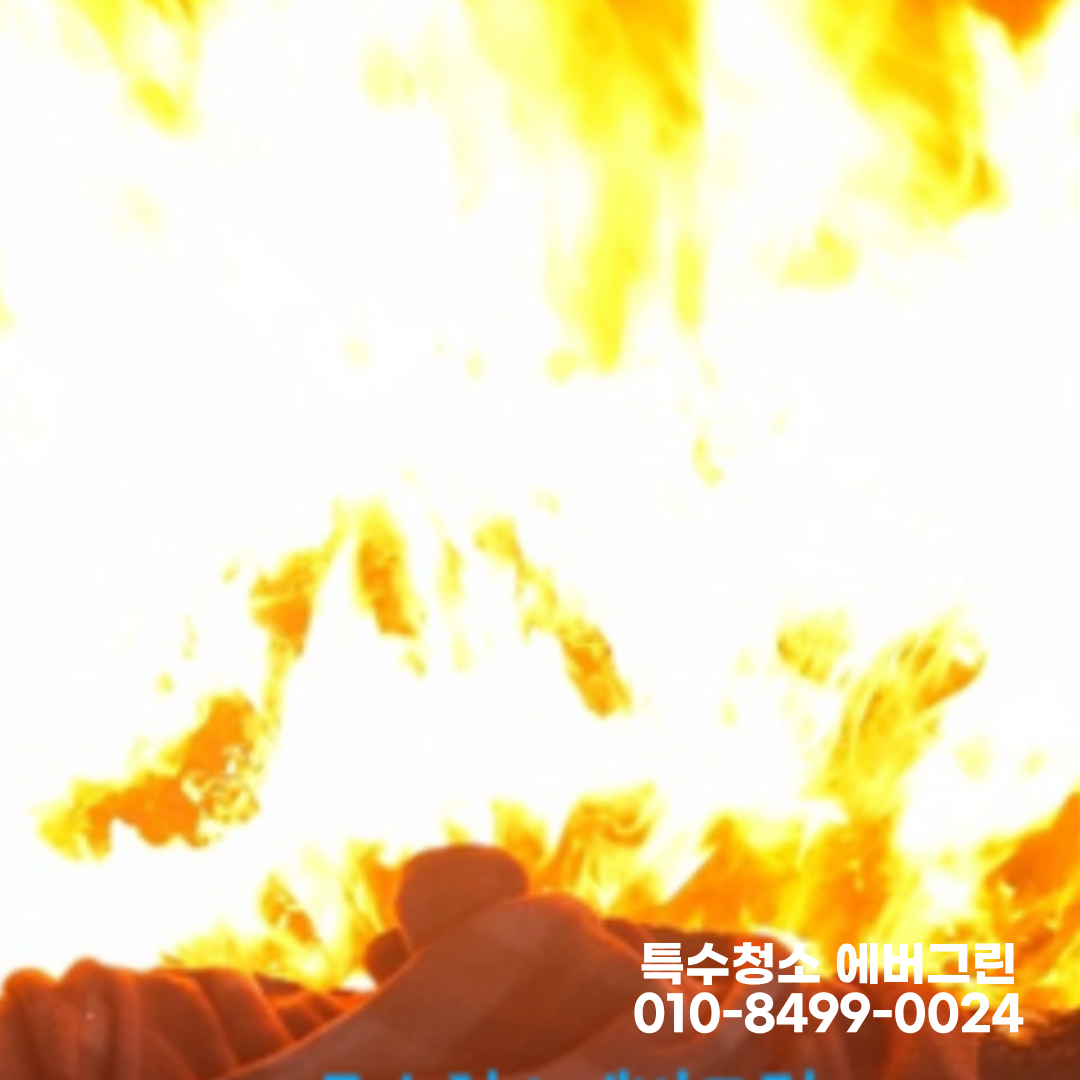 d5226b6cef825.png