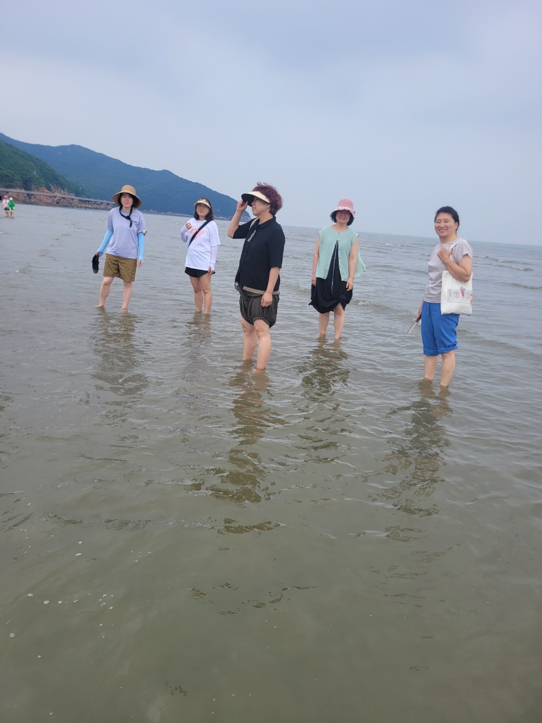 c46900f182ff1.jpg
