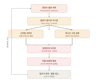 엉덩이 옆면 약화에서 장경인대 과긴장과 무릎 바깥쪽 통증으로 이어지는 연쇄 흐름도