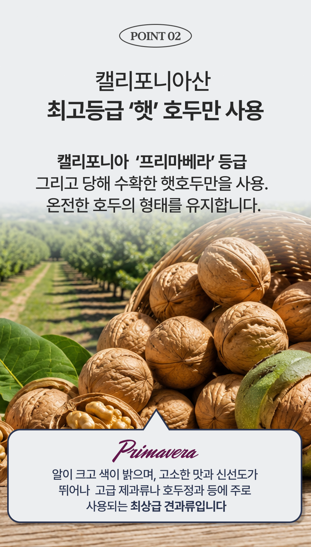 요리노리 메이플 호두정과