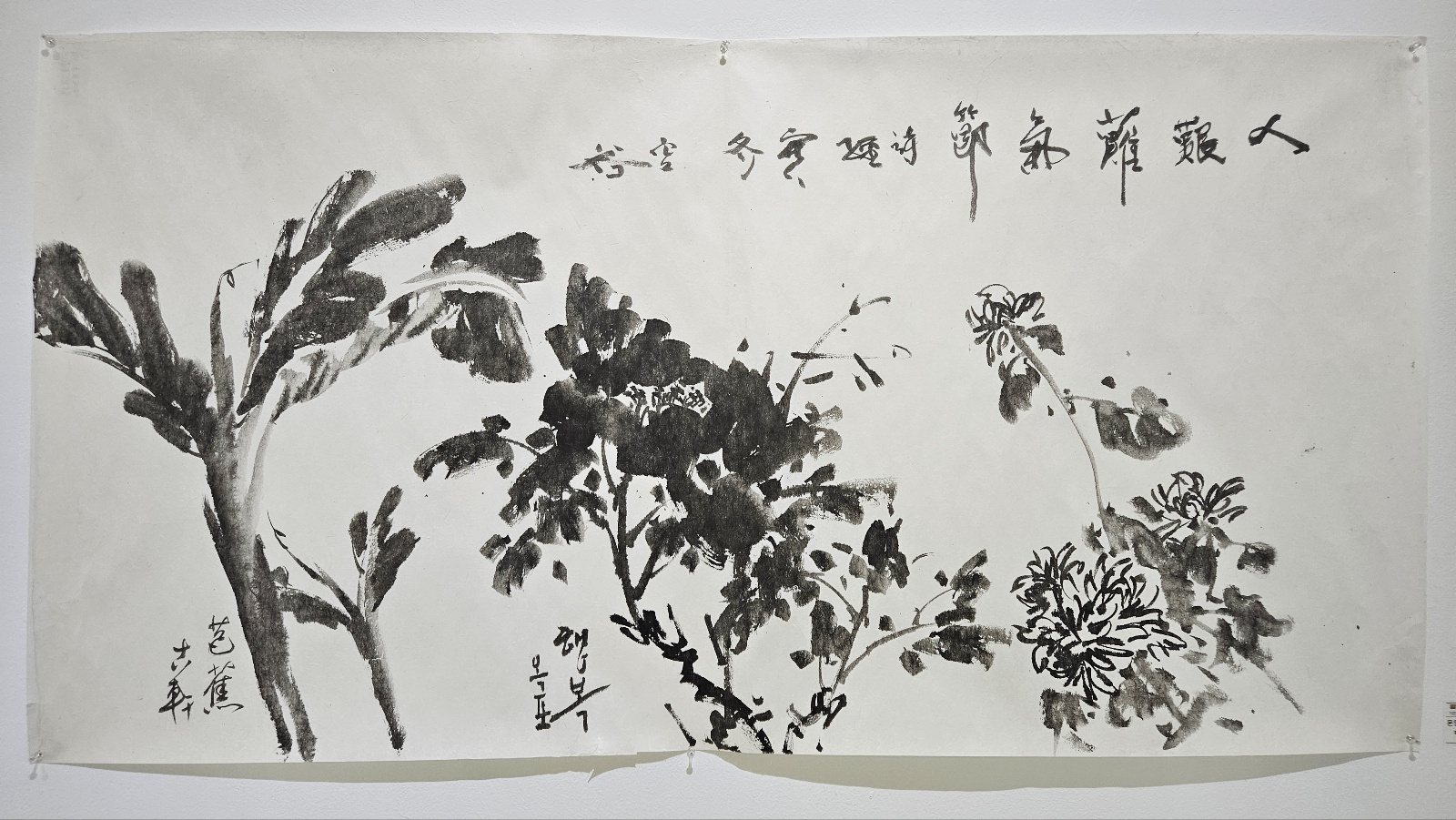 20c391ff45200.jpg