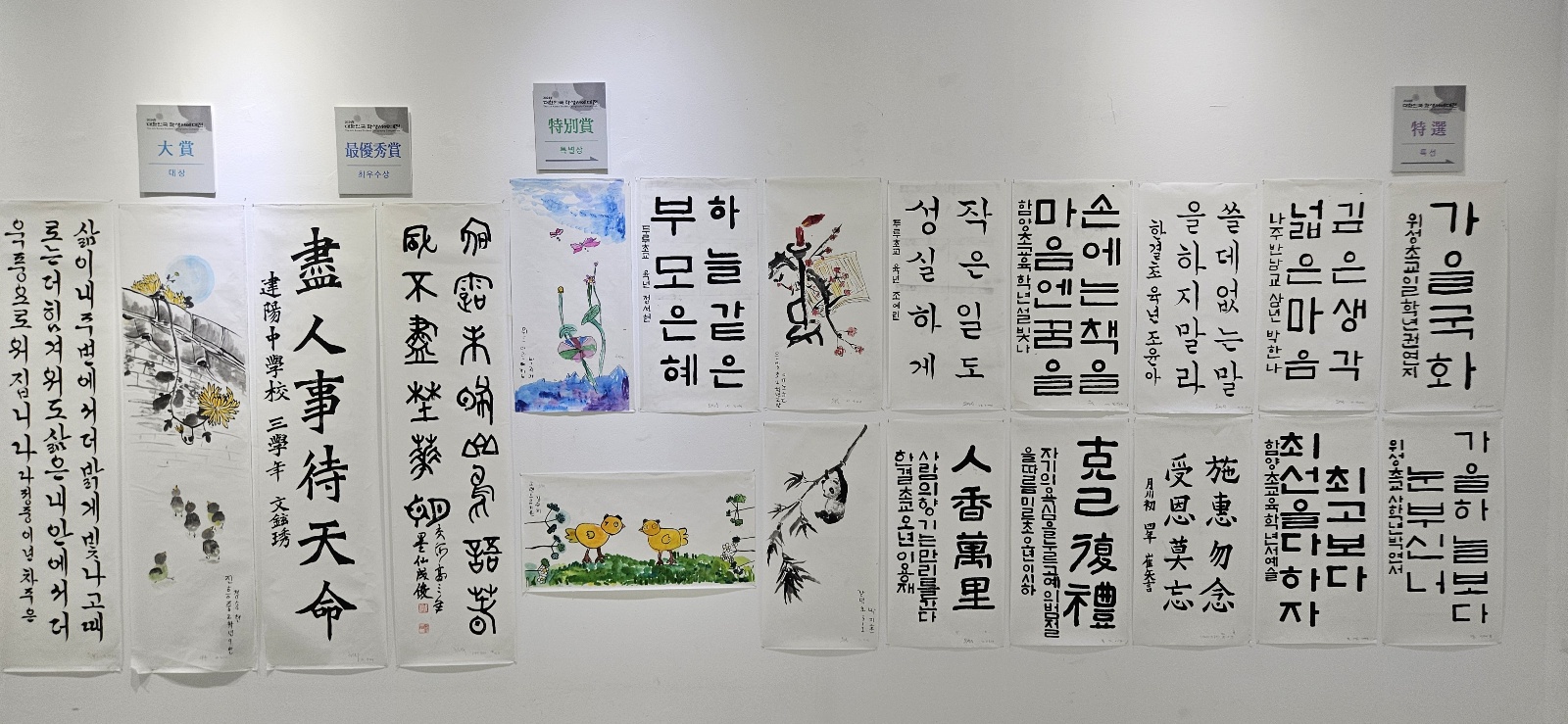 24be785a1357f.jpg