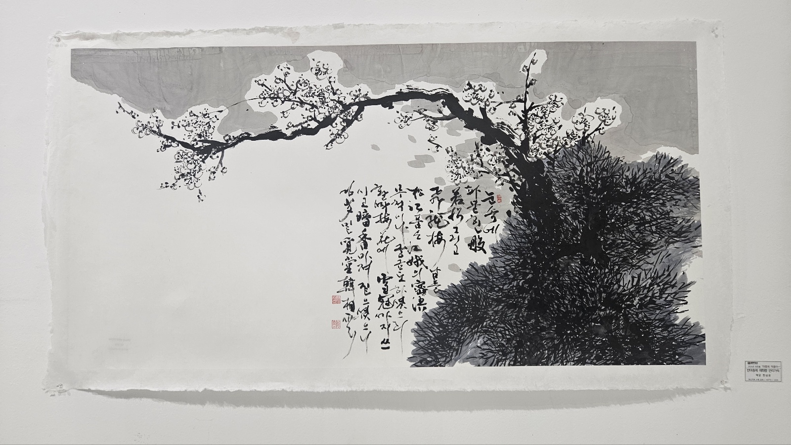 a0ae63a9104ce.jpg