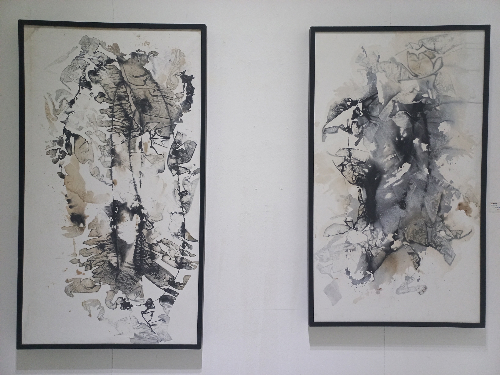 a2861e4947557.jpg