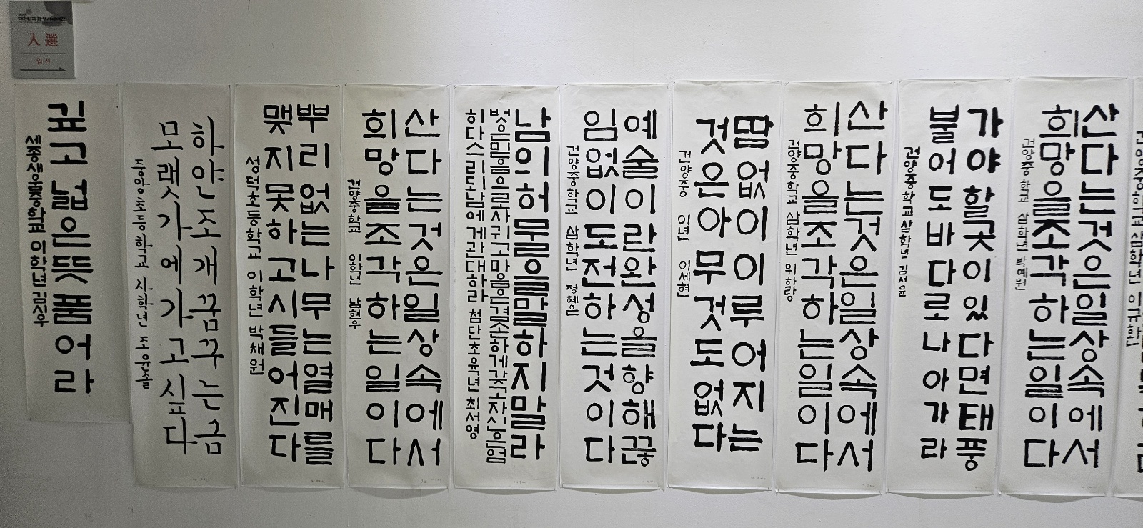 fa1f48300bb4f.jpg