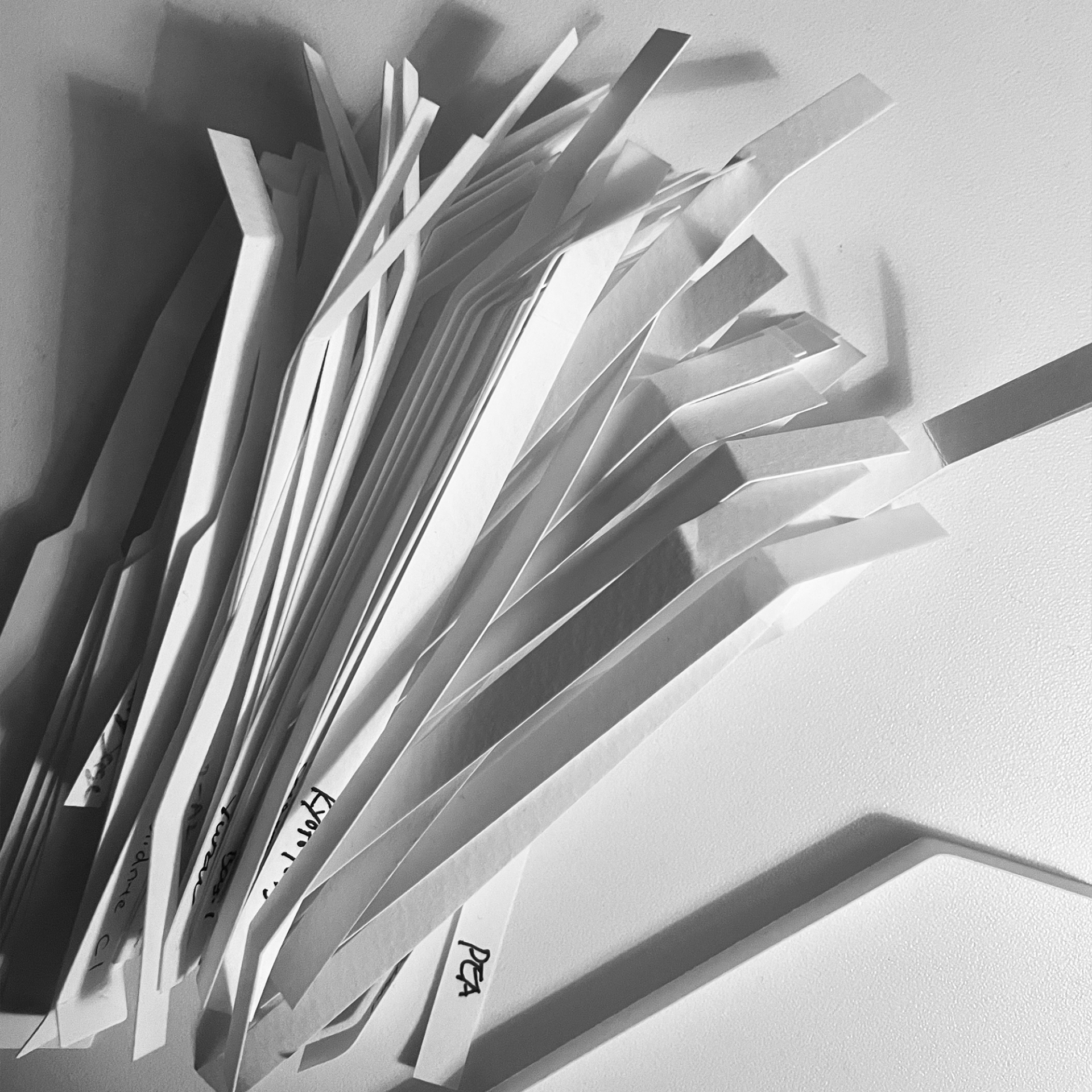06792650a264a.png