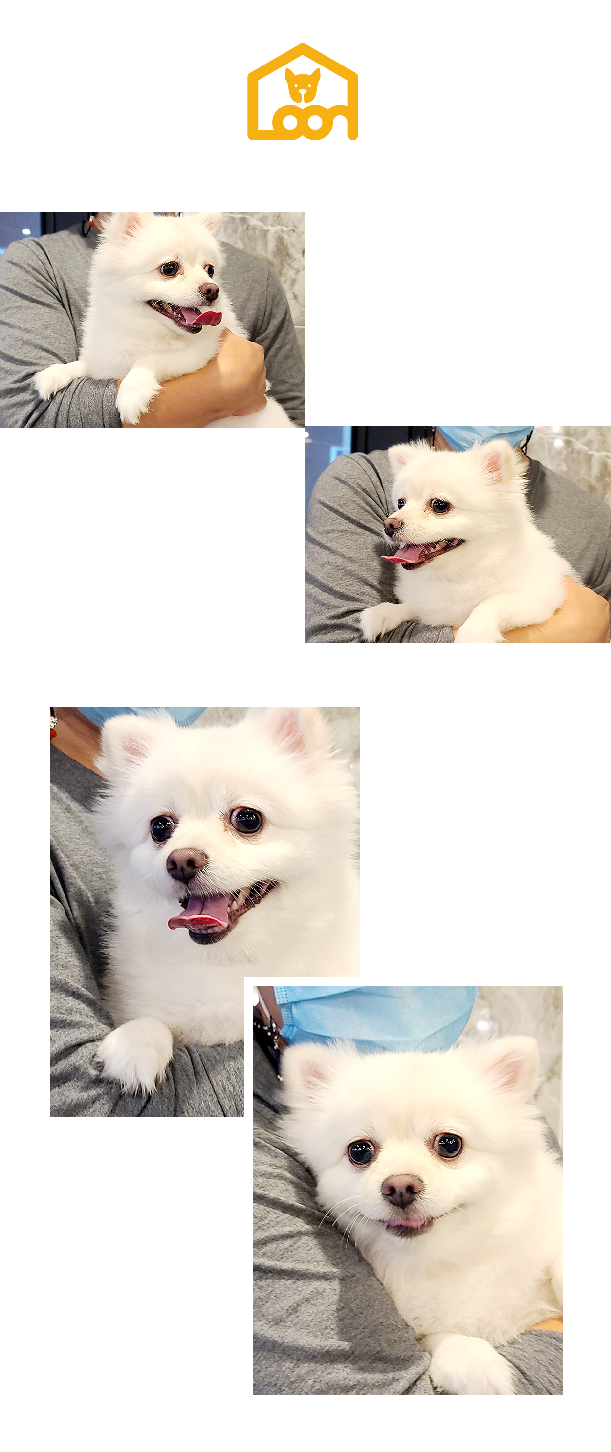 3eaf9f8a43149.png