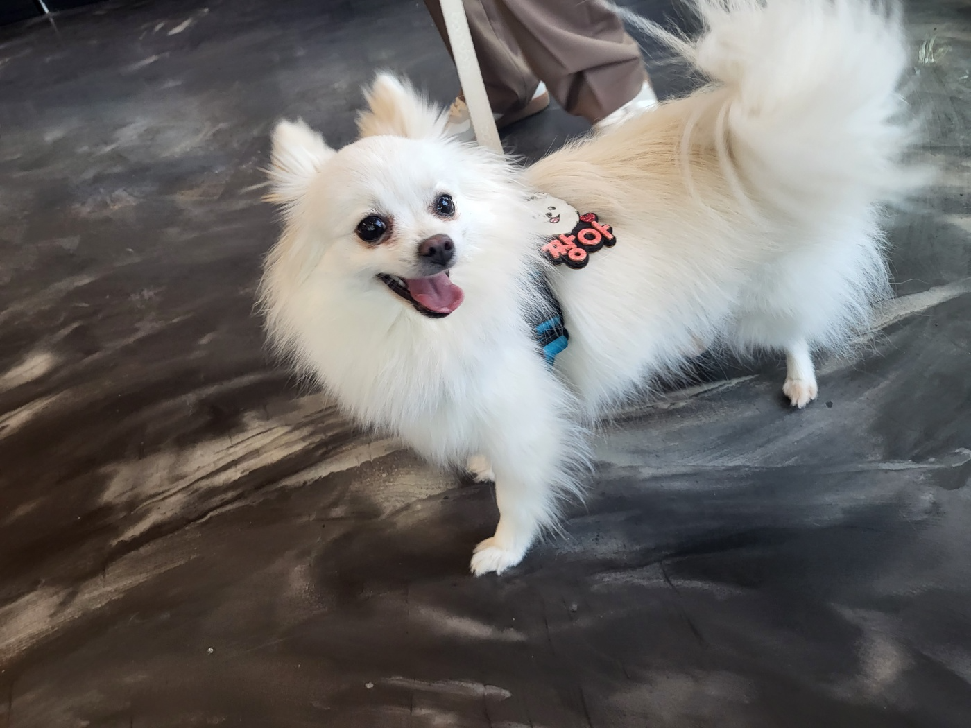 8aec887f68203.png