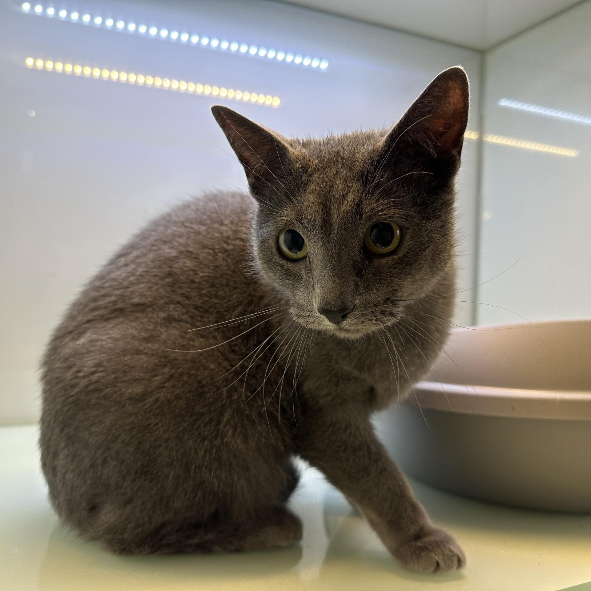 9a2a402510011.jpg