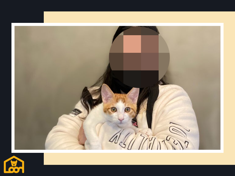 9eb16ed492690.png