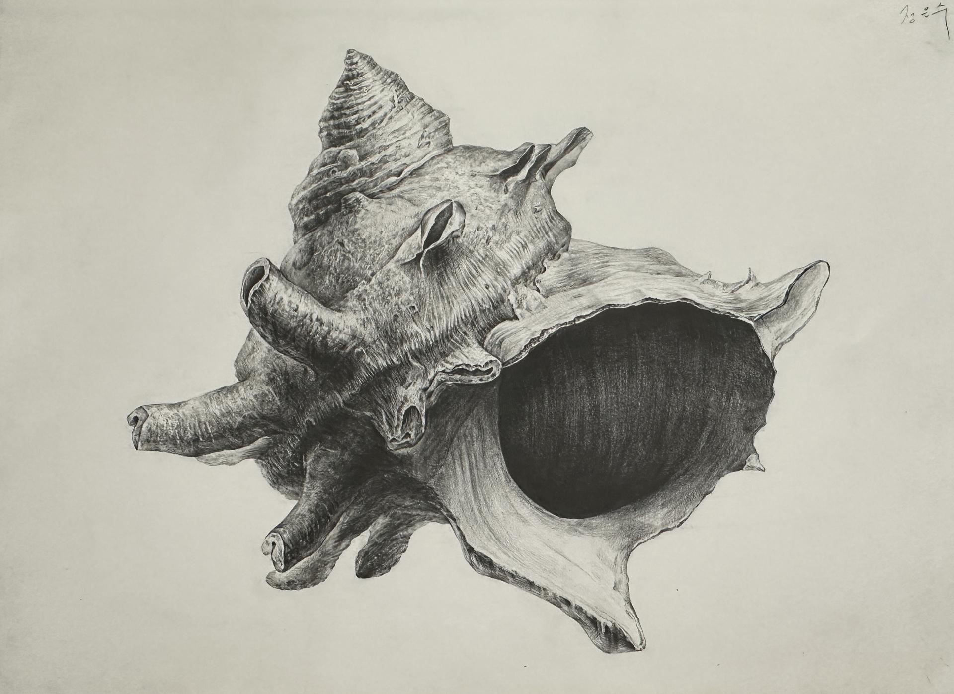 570a53180cf6b.jpg