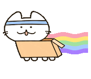 b3fcd5e4c1d01.gif