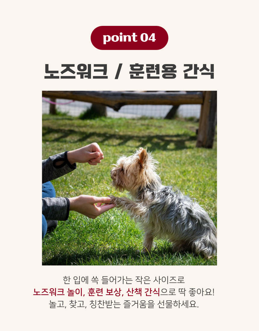 조각 말랑 말고기 육포