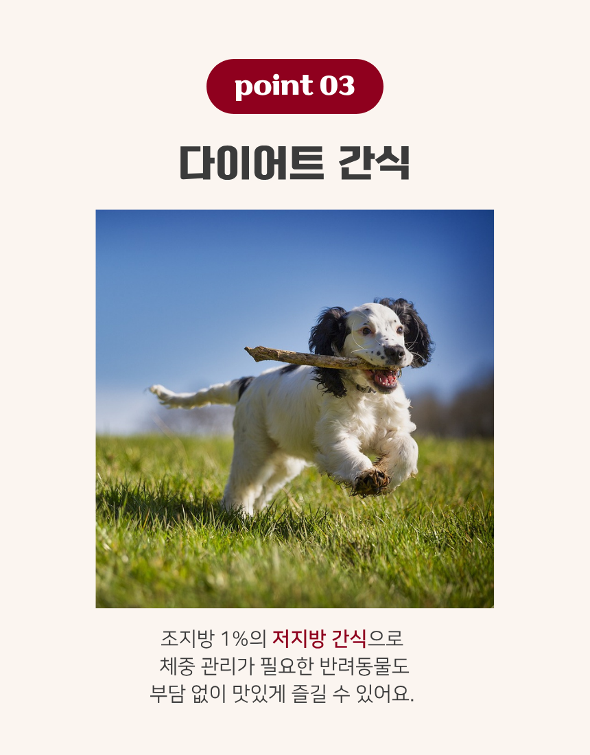 조각 말랑 말고기 육포